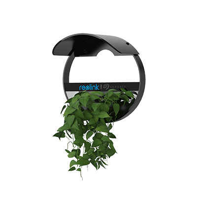 faux-plant-camera-cover-image